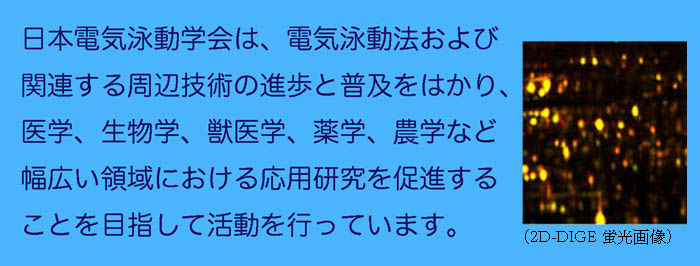 日本電気泳動学会のご紹介